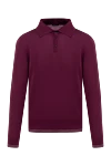 Massimo Sforza Wool long sleeve polo burgundy for men - Long sleeve. 100% wool. Buttons. Country of manufacture: Italy. Care: specialized cleaning - photo 1