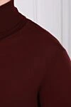 Cesare di Napoli Men's wool golf burgundy - High neck. 100% wool. Country of manufacture: Italy. Care: specialized cleaning - photo 5