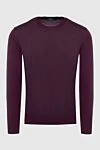 Svevo Long sleeve wool jumper for men, burgundy - 80% cashmere, 20% silk. Closure: zipper. Manufacturer part number: 13005 SA16. Country of manufacture: Italy. Care: specialized cleaning - photo 1