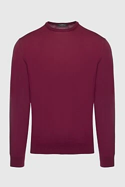 Cotton jumper burgundy for men