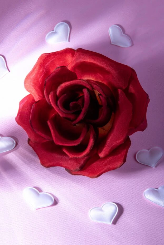 Saint Laurent көлемді раушан түрінде әйелдерге арналған бургундия жібек брошь 170589 - фото 3