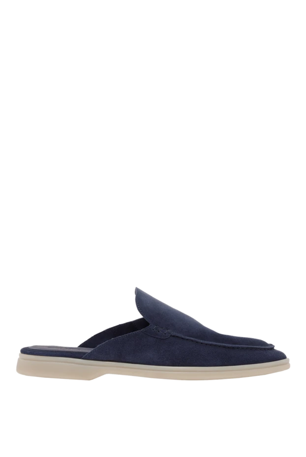 Ақ табаны бар көк күдері сырғанақ - фото 1