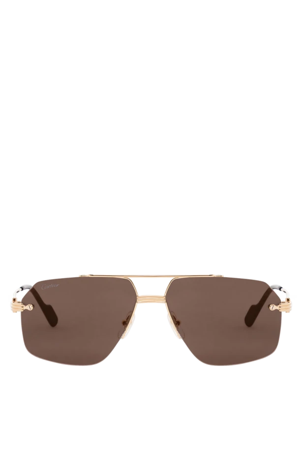 Brown Men's Sunglasses with Gold Frame
- photo 1