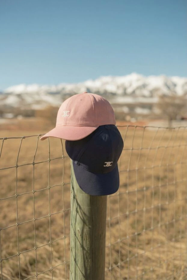 Celine логотипі бар triomphe көк мақтадан жасалған бейсбол қалпағы 191959 - фото 2