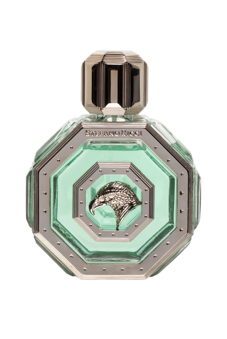 Stefano Ricci royal eagle silver иіссу ерлерге арналған, 100 мл 152252 - фото 1