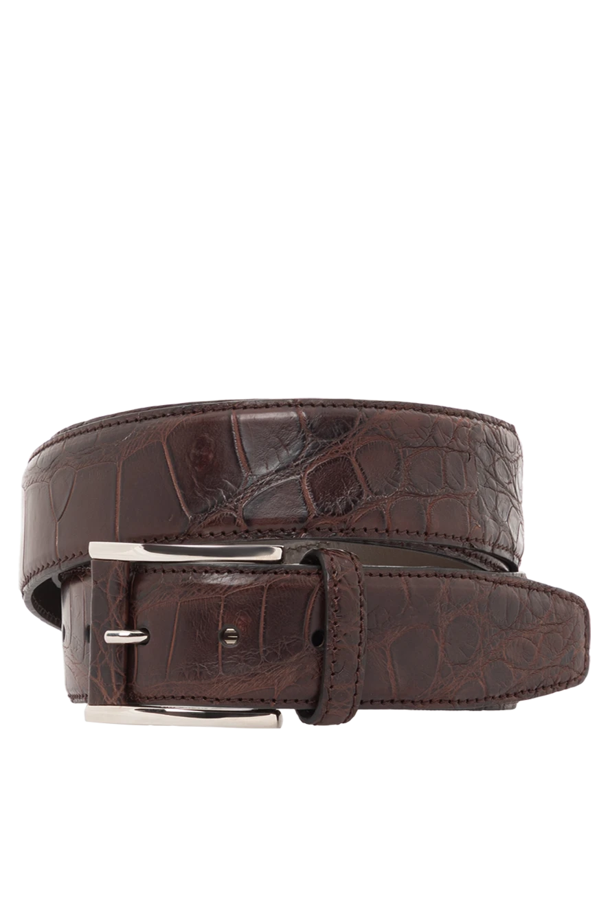 Tardini ремень мужской коричневый из кожи аллигатора 189409 - фото 1